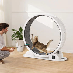 Cat Exercise Wheel with Pedometer