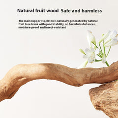 Solid Wood Cat Climbing Tree with Nest