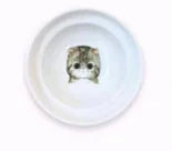 Spine Protection Bowl Holder for Cat Food and Water