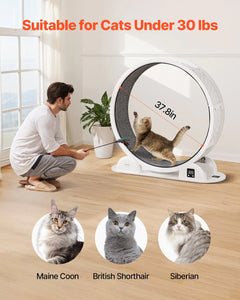 Cat Exercise Wheel with Pedometer
