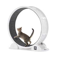 Cat Exercise Wheel with Pedometer